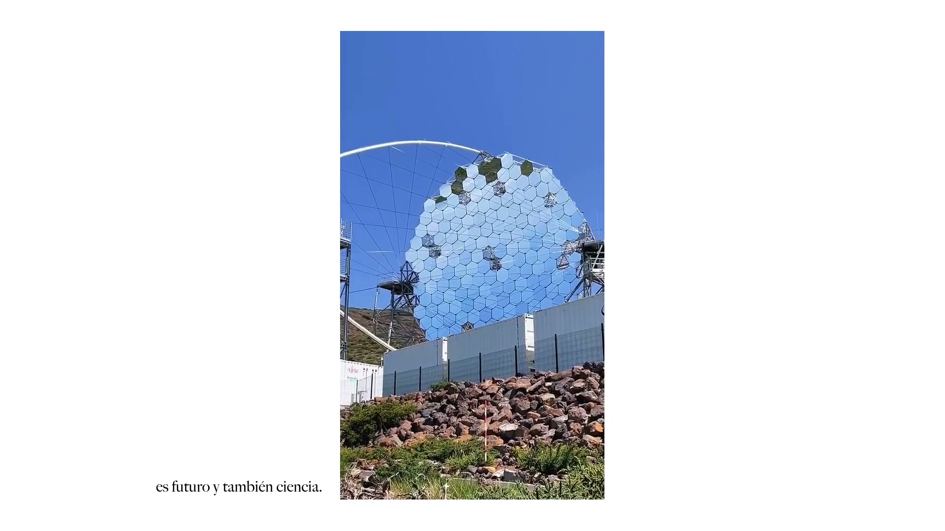 Día de Canarias 2025 — Fig. 04