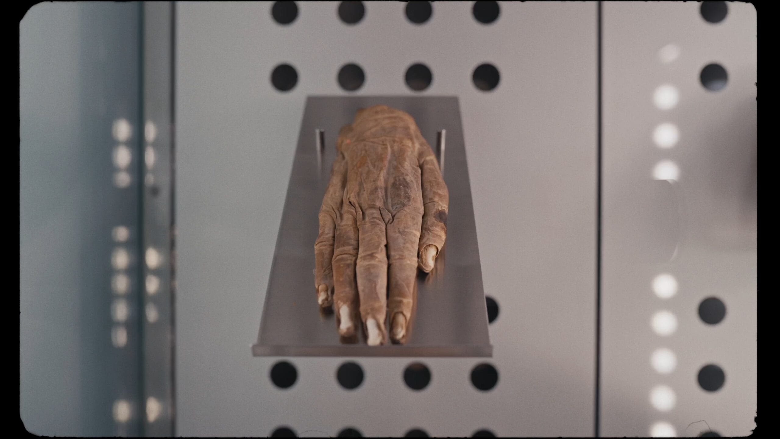 Museos de Tenerife — Fig. 21