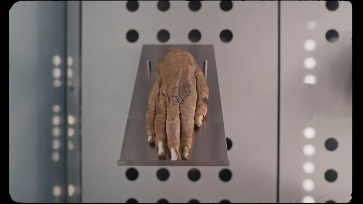 Museos de Tenerife — Fig. 21