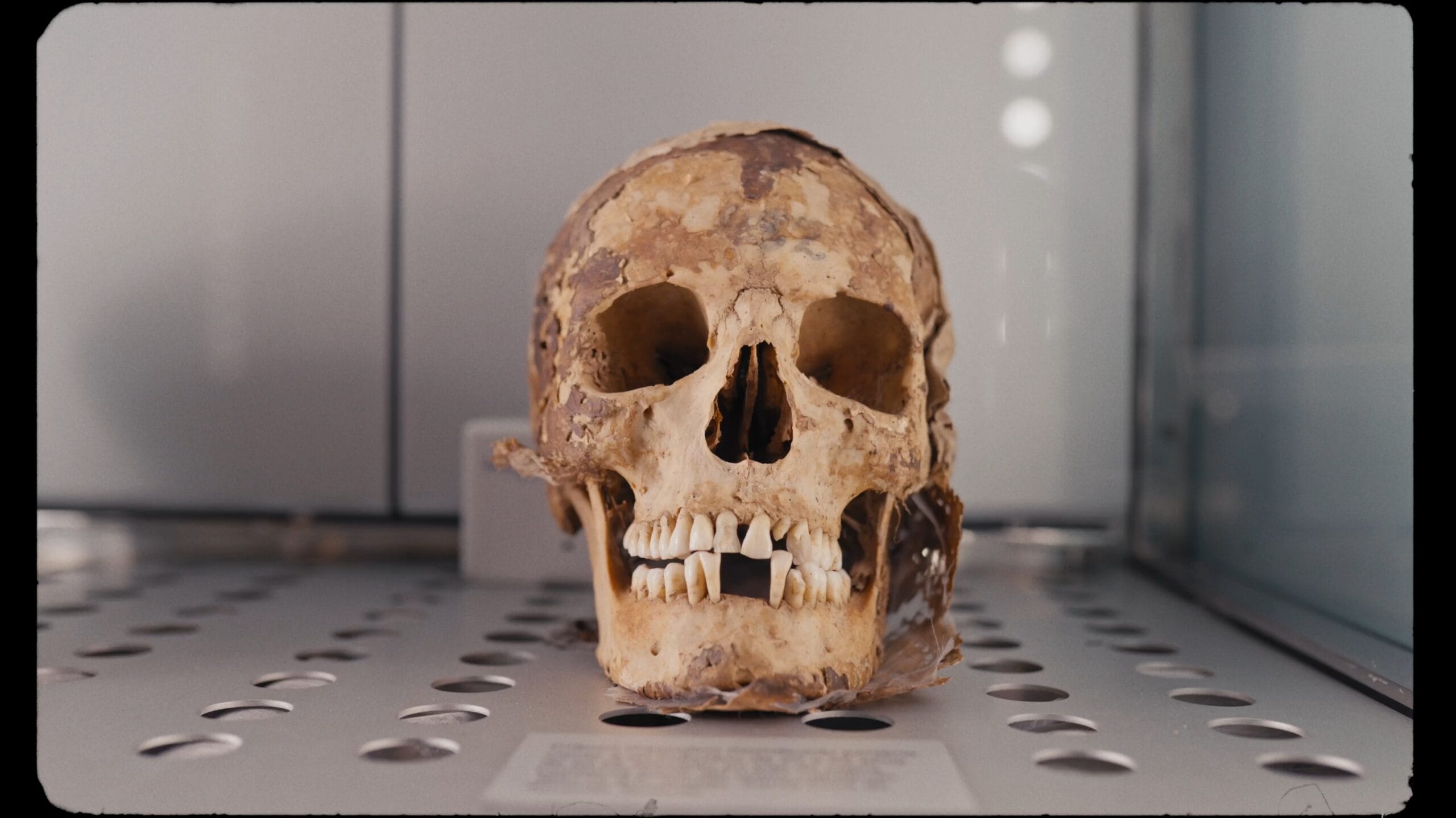 Museos de Tenerife — Fig. 24