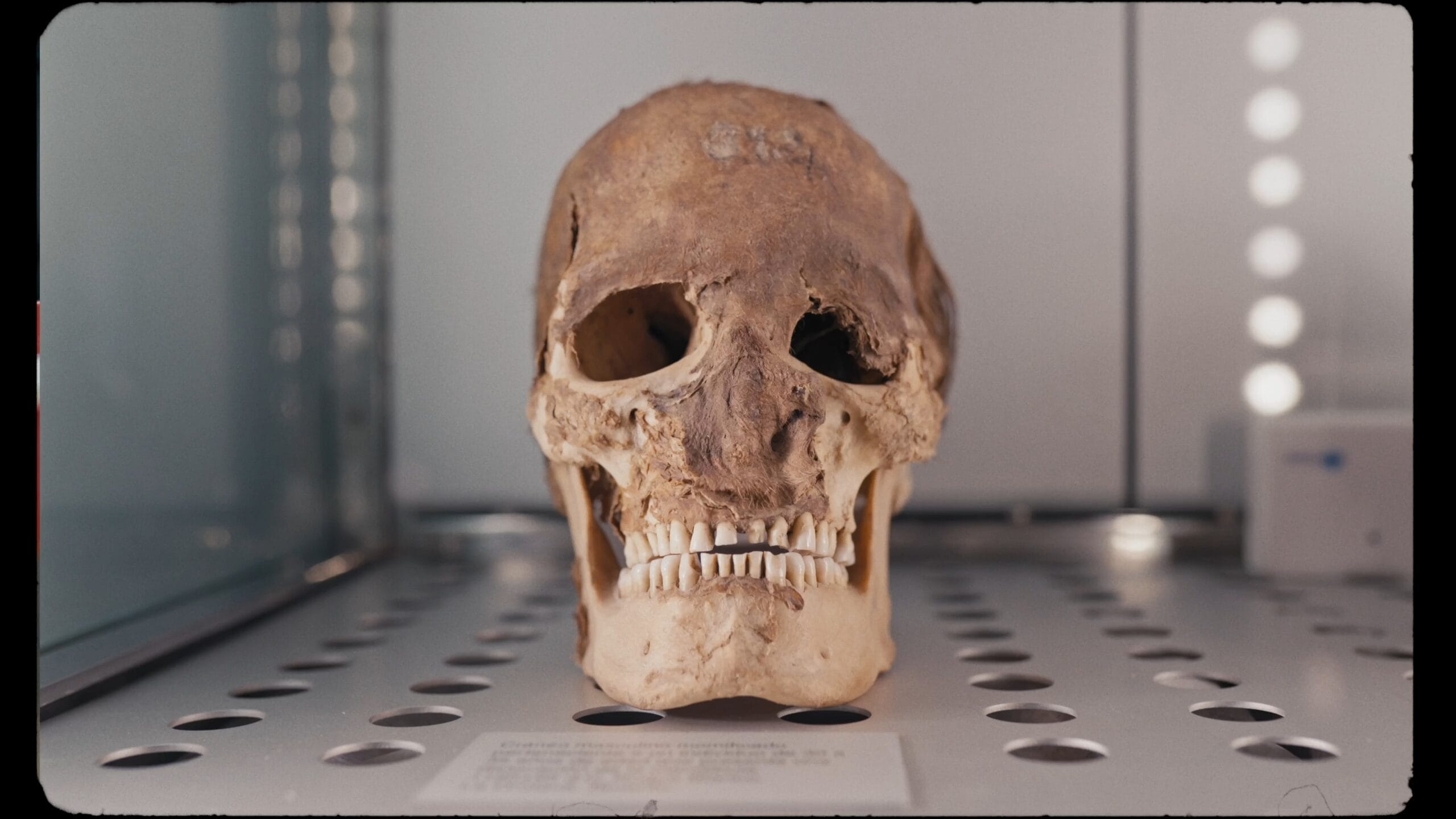 Museos de Tenerife — Fig. 25